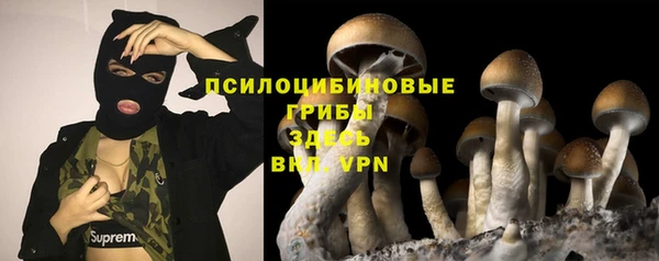 крисы Арсеньев