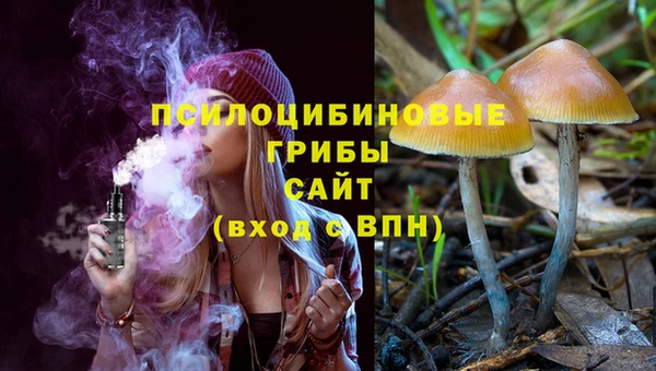 эйфоретик Алзамай