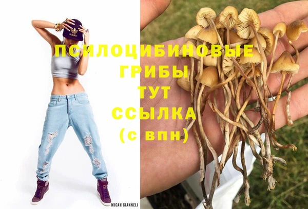 крисы Арсеньев