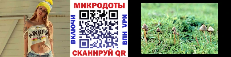 Псилоцибиновые грибы ЛСД МЕГА tor Дорогобуж